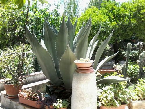 Apartamento La Terrazza Di Oplonti