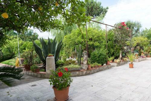 Apartamento La Terrazza Di Oplonti
