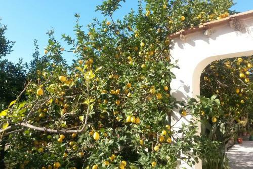 Apartamento La Terrazza Di Oplonti