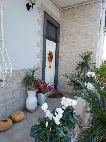 B&B Petra Hercules