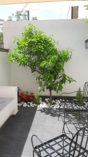 Bed & Breakfast Lemon Tree