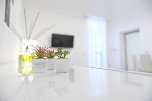 Apartamento Stone House Sofia