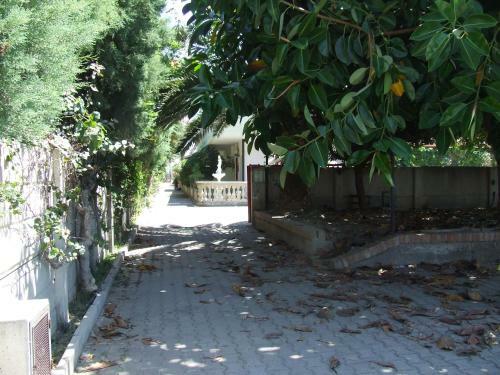 Apartamento Casa Selene