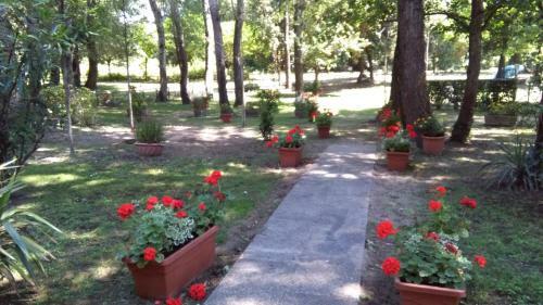 Apartamento Residence Lagomare