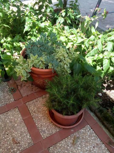 Bed & Breakfast Il Piccolo Principe