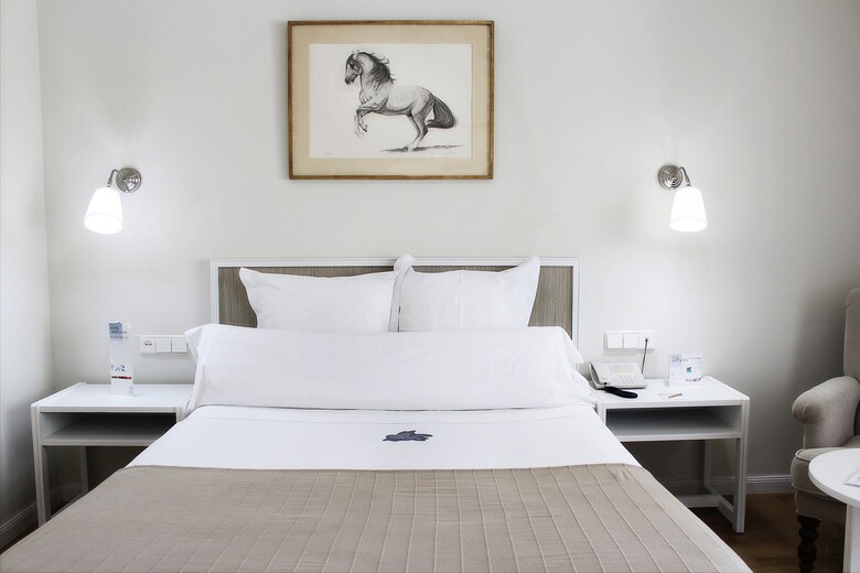 Hotel Jerez & Spa
