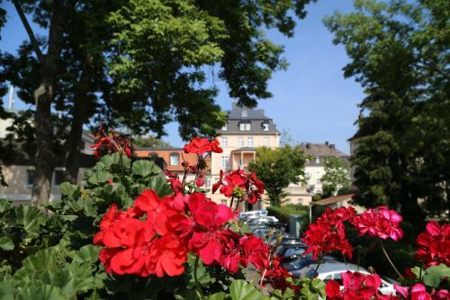 Villa Thea Kurhotel Am Rosengarten