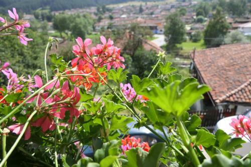 Panorama Family Hotel
