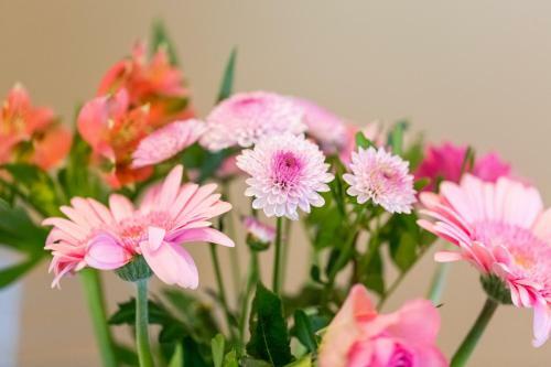 Apartment Natur