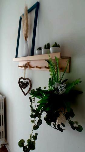 A Casa Di Nonna B&B