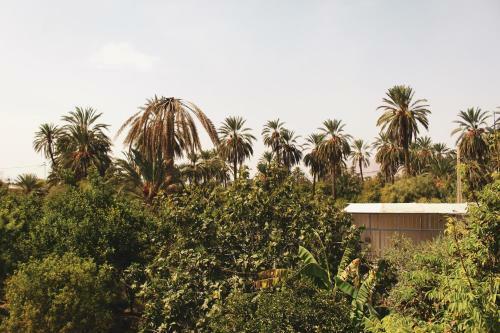 Hostal Dar Seddik