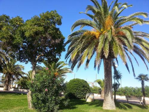 Apartamento Tiziana Beach