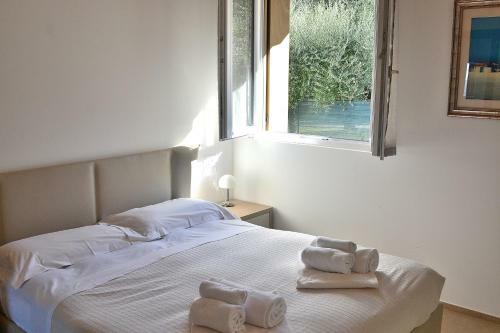 South Apartment