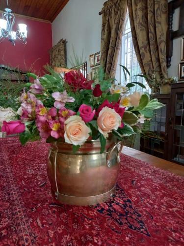 Hostal French Rose