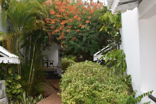 Hotel Kendwa Beach Resort