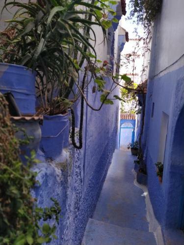 Albergue Casa Blue Star