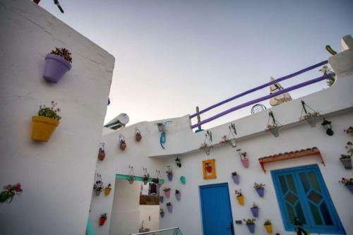 Hostal Afra House