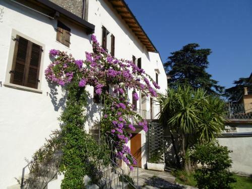 Il Nido Dei Gufi Bed And Breakfast