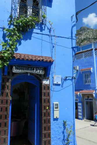 Hostel Aline