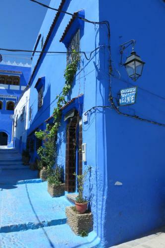 Hostel Aline