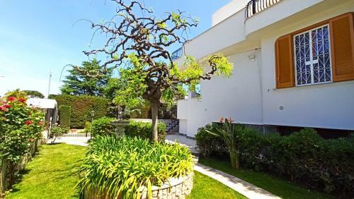 Apartamento Villa Mary - Oro