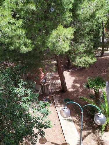 Bed & Breakfast Terra Bianca