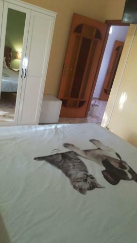 Bed & Breakfast Terra Bianca
