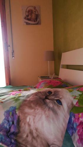 Bed & Breakfast Terra Bianca