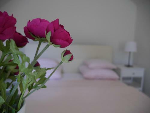 Apartment Bogliaco Grande