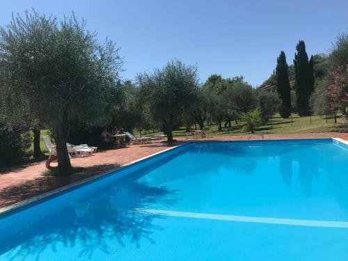 Apartment Bogliaco Grande