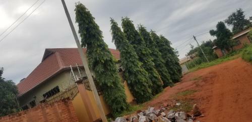 Hostal Janda Lodge-01