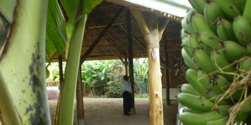 Hotel Rest Gardens Ltd