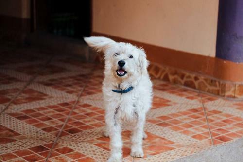 Apartamento Casablanca 2br1b