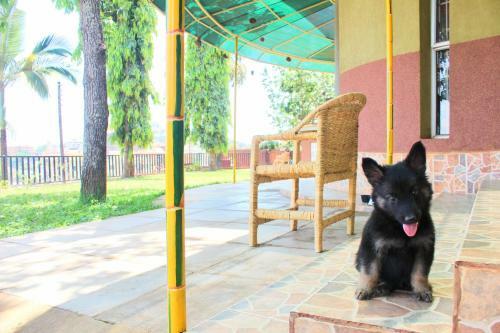 Luxury Acacia Villa With Kampala's Best View
