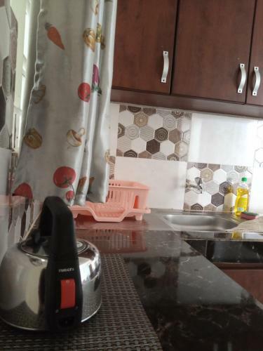 Apartamento Goldies Place