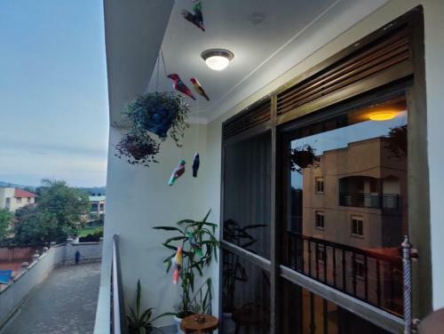 Apartamento Tausi House