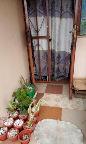 Gecko Bed & Breakfast