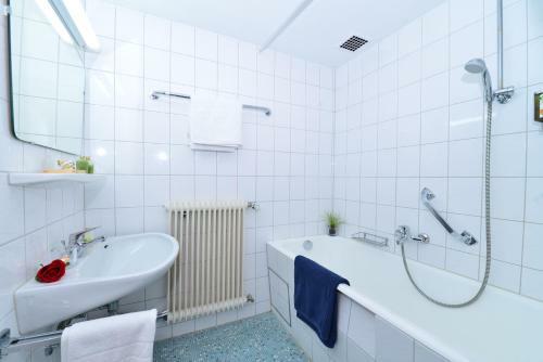 Hotel Landgasthof L�wen