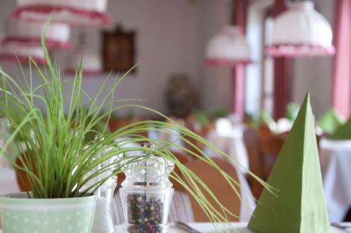 Hotel Landgasthof L�wen
