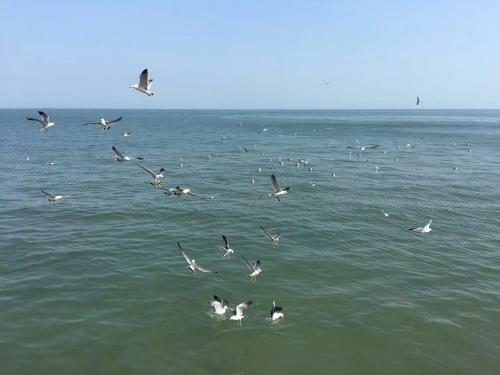 Yantai Golden Gulf Hotel