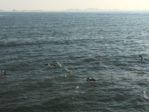 Yantai Golden Gulf Hotel
