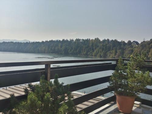 Bed & Breakfast Gostisce Jezero