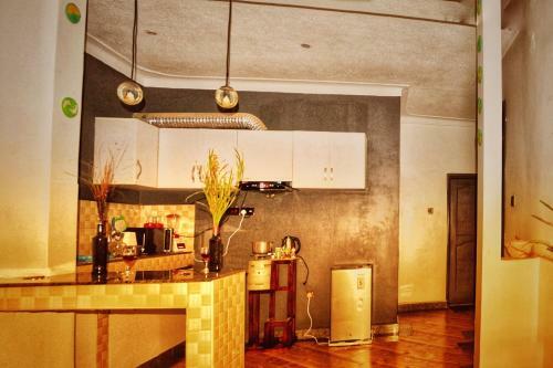 Vacation Rental Home Apartment