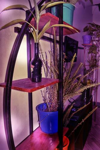 Vacation Rental Home Apartment