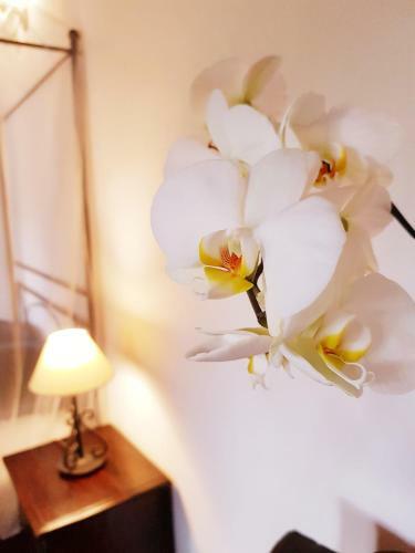 Cottage Giardino Dell'alcantara