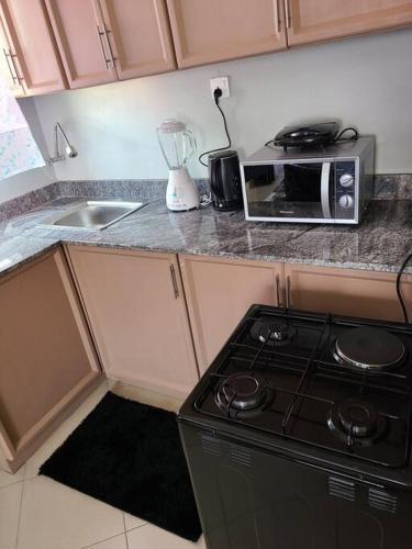 Apartamento Jd Elegant, Wifi Lake/cty View 1 Bed Apt Kampala.