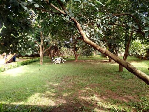 Villa For Rent In Kampala Najjera