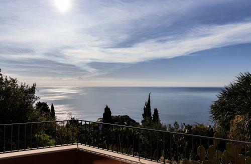 Apartamento New, Modern And Charming House