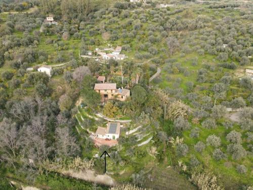 Casa Coniglio