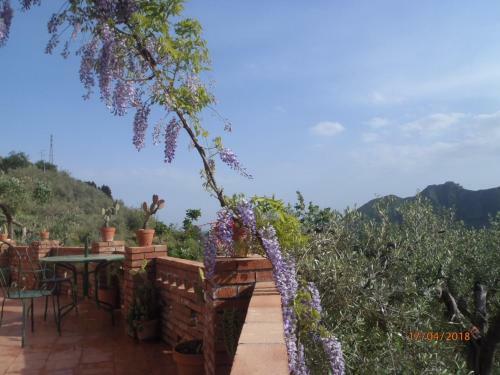 Casa Coniglio
